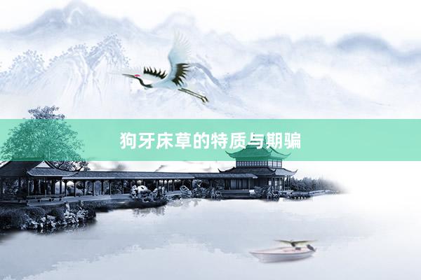 狗牙床草的特质与期骗