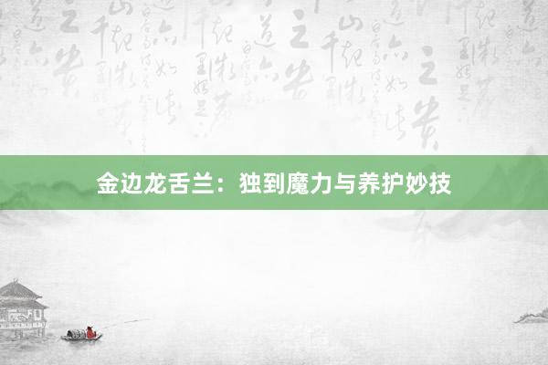 金边龙舌兰：独到魔力与养护妙技