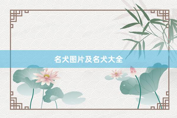 名犬图片及名犬大全