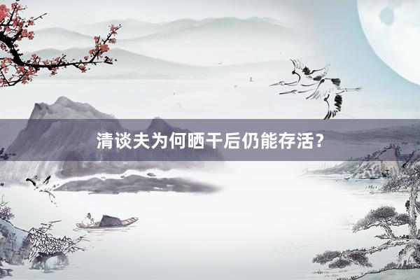 清谈夫为何晒干后仍能存活？