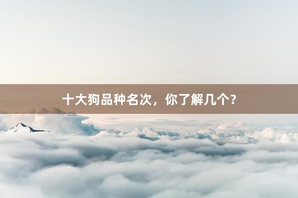 十大狗品种名次，你了解几个？