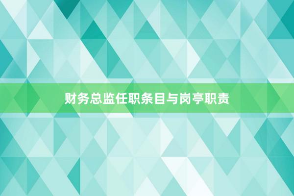 财务总监任职条目与岗亭职责