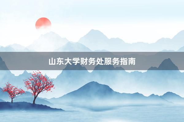 山东大学财务处服务指南