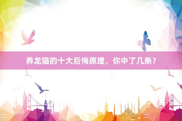 养龙猫的十大后悔原理，你中了几条？